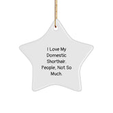 Funny Domestic Shorthair Cat Gifts, Star Ornament with I Love My Domestic Shorthair. People, Not So Much., Perfect Christmas Unique Gifts from Family to Domestic Shorthair Cat Lovers - Image 1